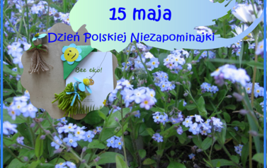dzień niezap