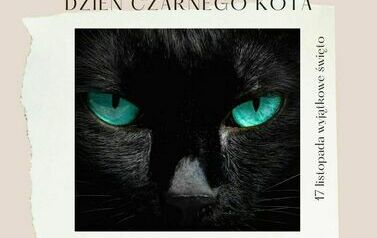 Dzień-czarnego-kota