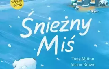 sniezny-mis-b-iext167022190