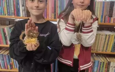 17