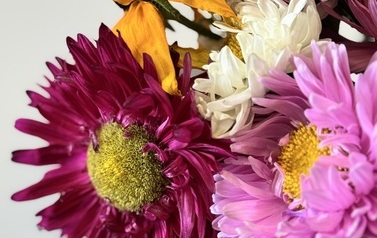 IMG_0648.jpeg