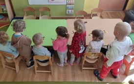Polscy autorzy dla klimatu (1)