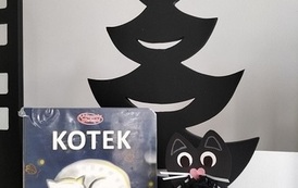 kot
