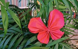 IMG_20230314_162947