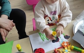 biedronkowe zamieszania (9)