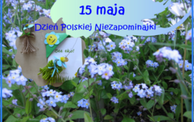 dzień niezap