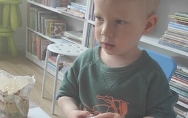 cukiernicze arcydzieła (5)