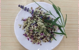 Kwiatowa mydlarnia (12)