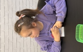 IMG_0279