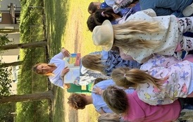 IMG_2953.jpeg