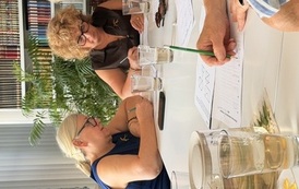 IMG_4374.jpeg
