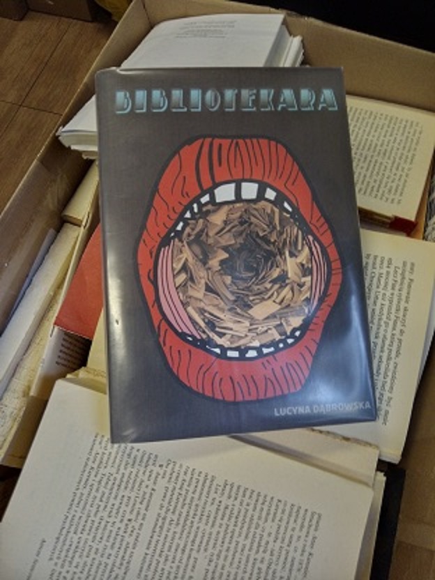 zdjęcie przedstawia okładkę książki "Bibliotekara" Lucyny Dąbrowskiej na tle książek