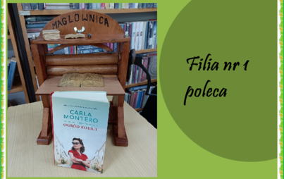 Zdjęcie do Maglownica