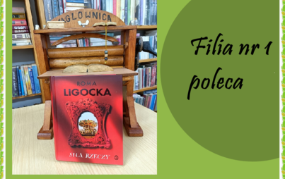 Zdjęcie do Siła rzeczy.