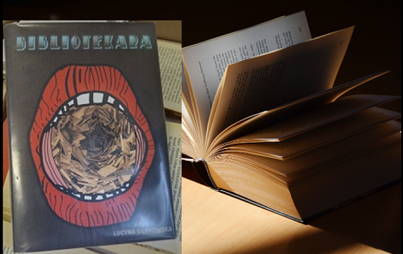 Zdjęcie do "Bibliotekara&rdquo; - Lucyna Dąbrowska 