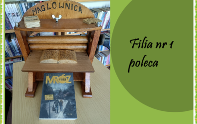 Zdjęcie do Maglownica na wakacje
