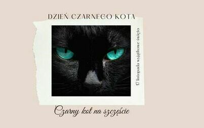 Zdjęcie do Bajkownica - relacja