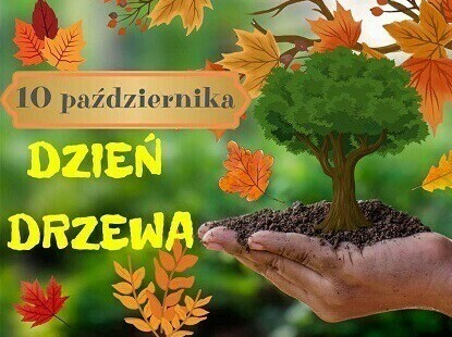 Zdjęcie do Światowy Dzień Drzewa