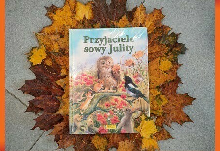 Zdjęcie do Przyjaźń i sowy...