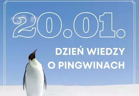 Zdjęcie do Ferie z kulturą pełne kreatywności i zimowej atmosfery!