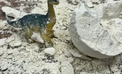 Zdjęcie do Śladami dinozaur&oacute;w 