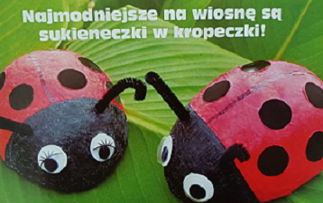 Zdjęcie do Biedronki