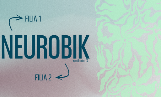 Zdjęcie do NEUROBIK - spotkanie X